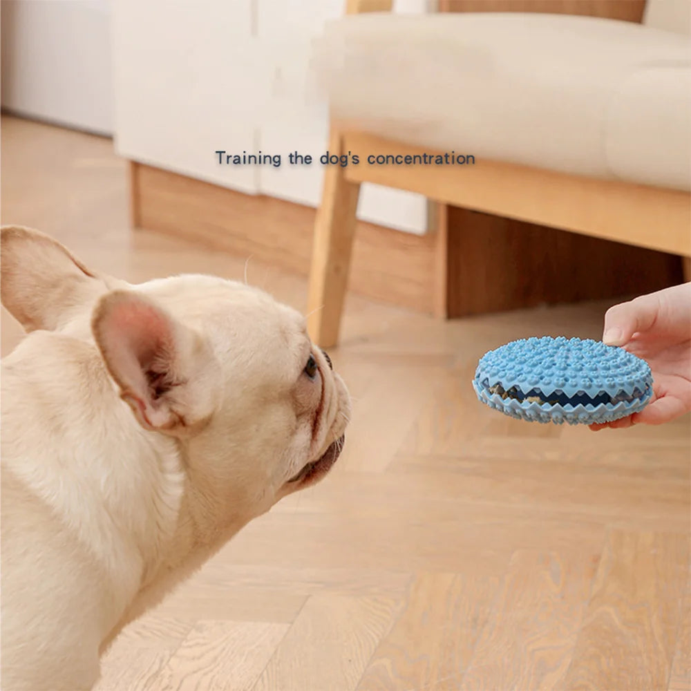 Disc Automatic Slow Feeder for Dogs