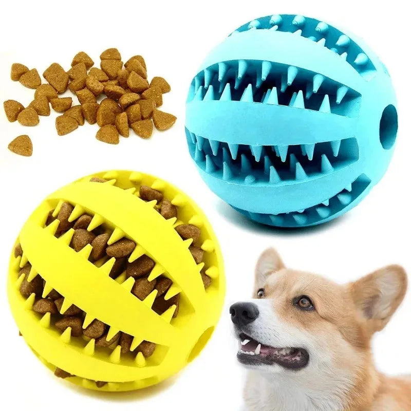 Pet Interactive Treat Ball