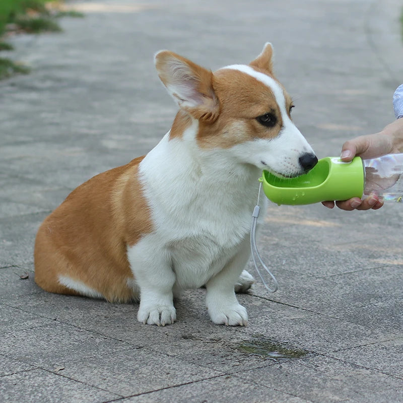 2-in-1 Pet Water Bottle and Food Dispenser