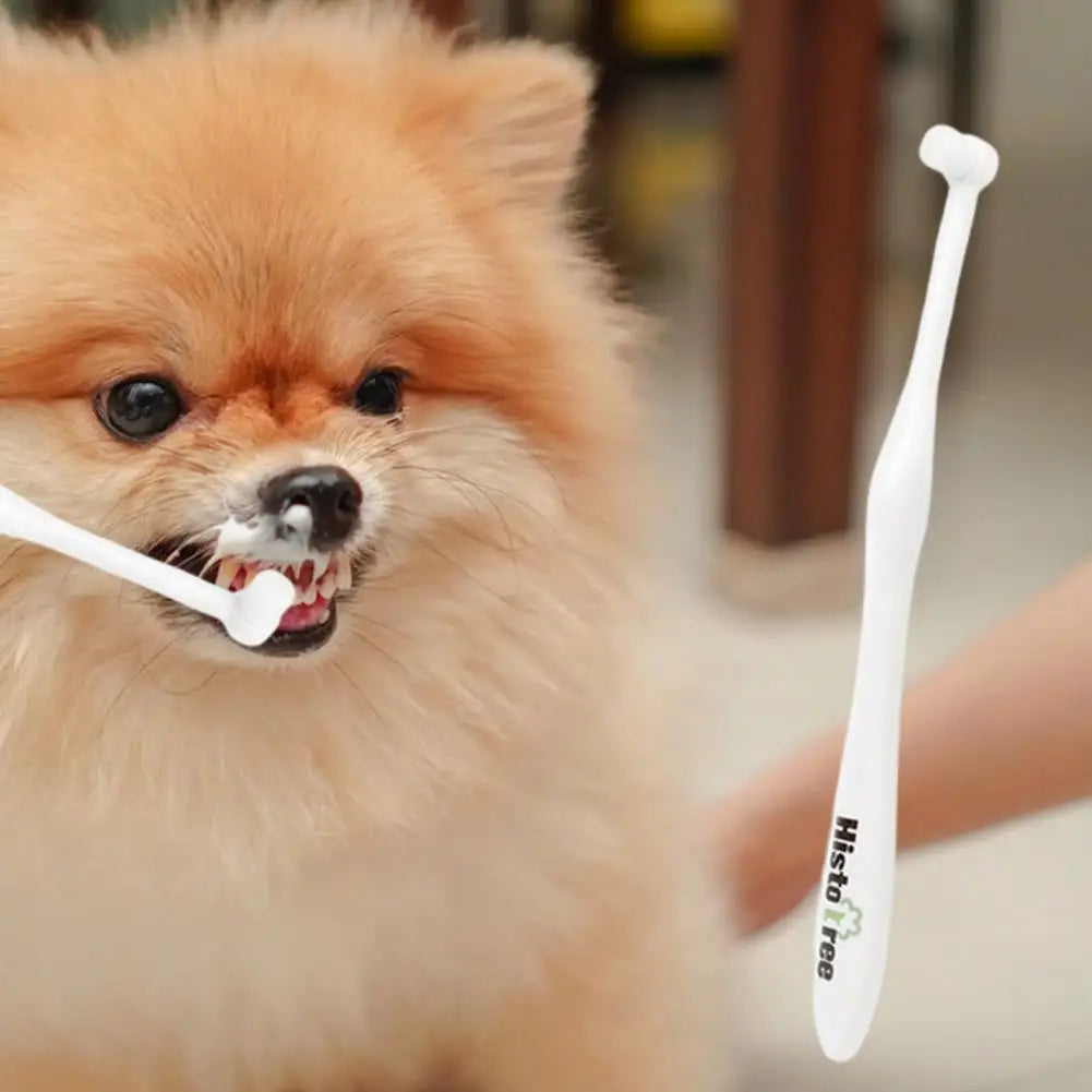 Soft Bristles Toothbrush for Puppies