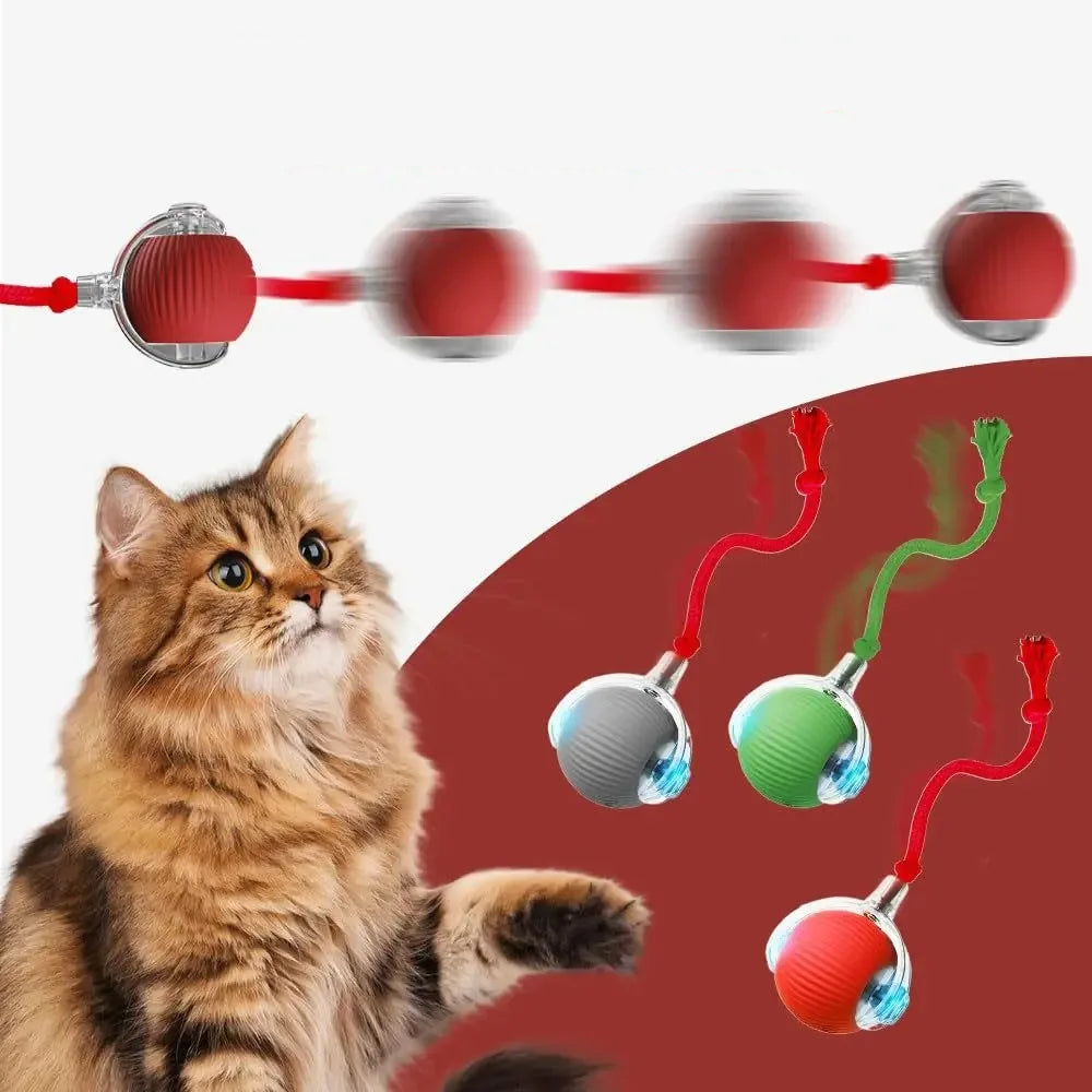 New Automatic Rolling Ball Toy for Cats