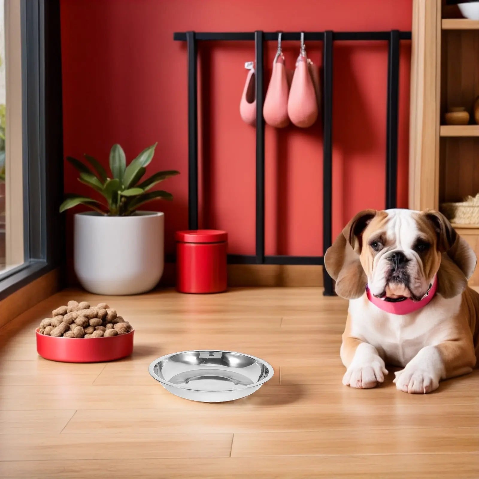 Flat Shallow Metal Feeding Pet Bowl