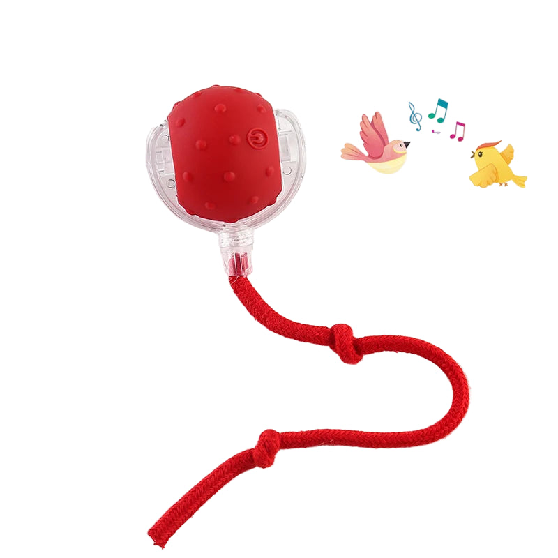 New Automatic Rolling Ball Toy for Cats