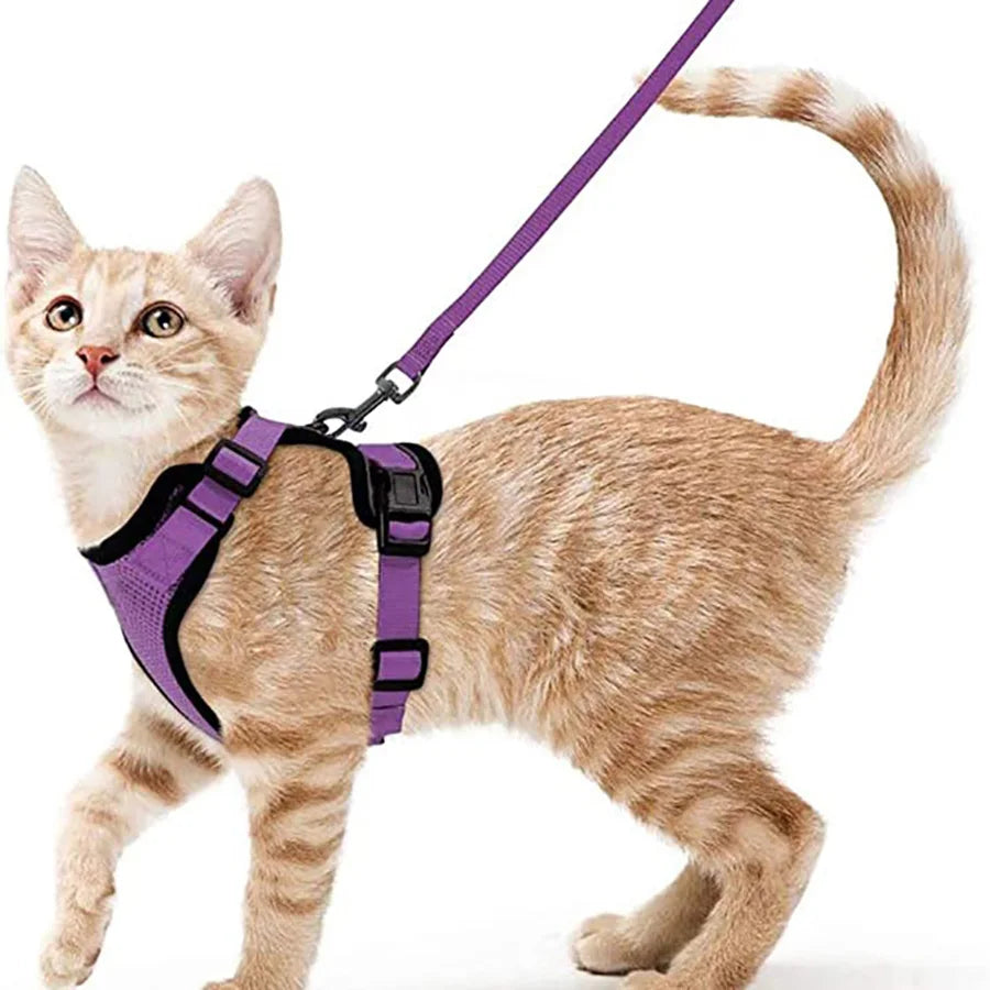 Adjustable Cat Harness and Leash Set