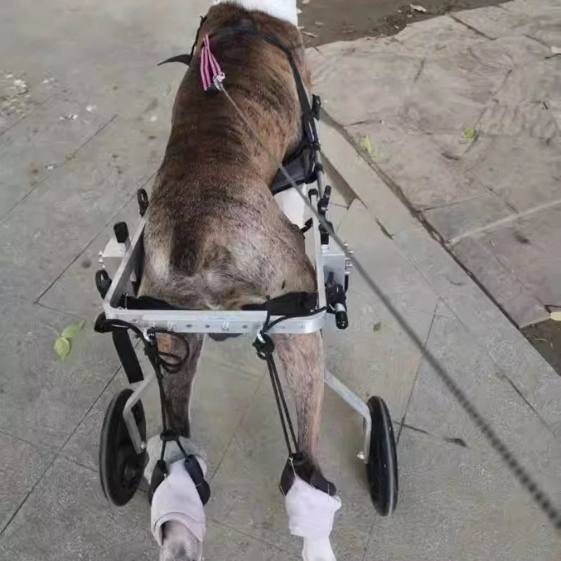 Mobility Assistance Wheelchair for Large Dog