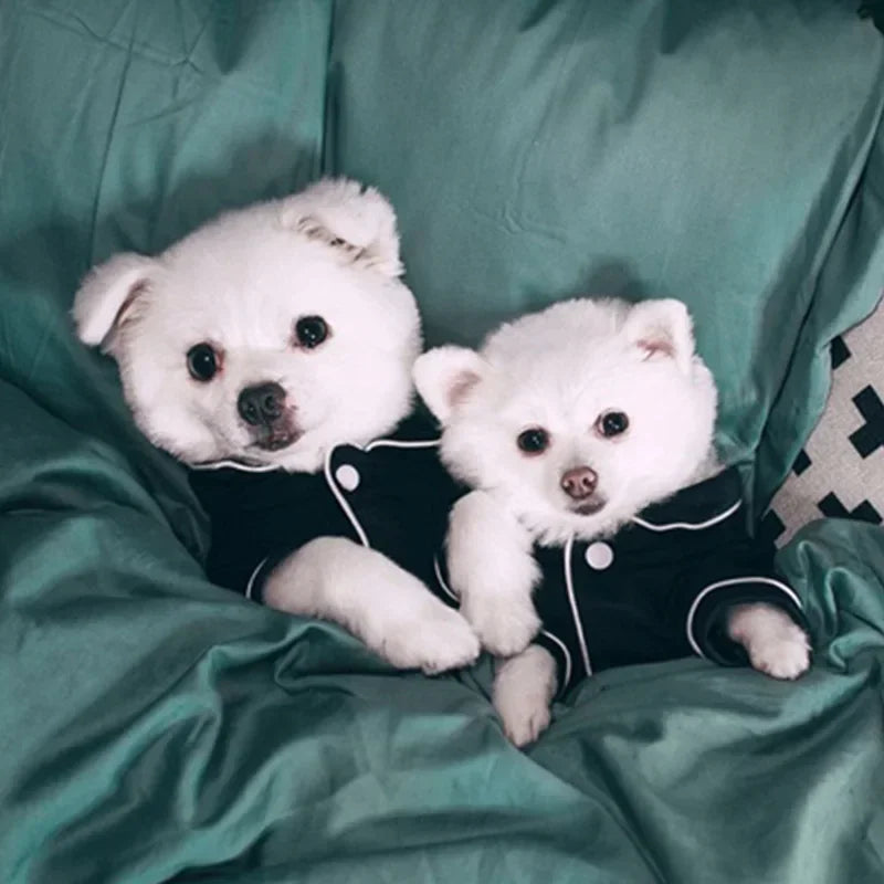 Plain Dog Pajamas