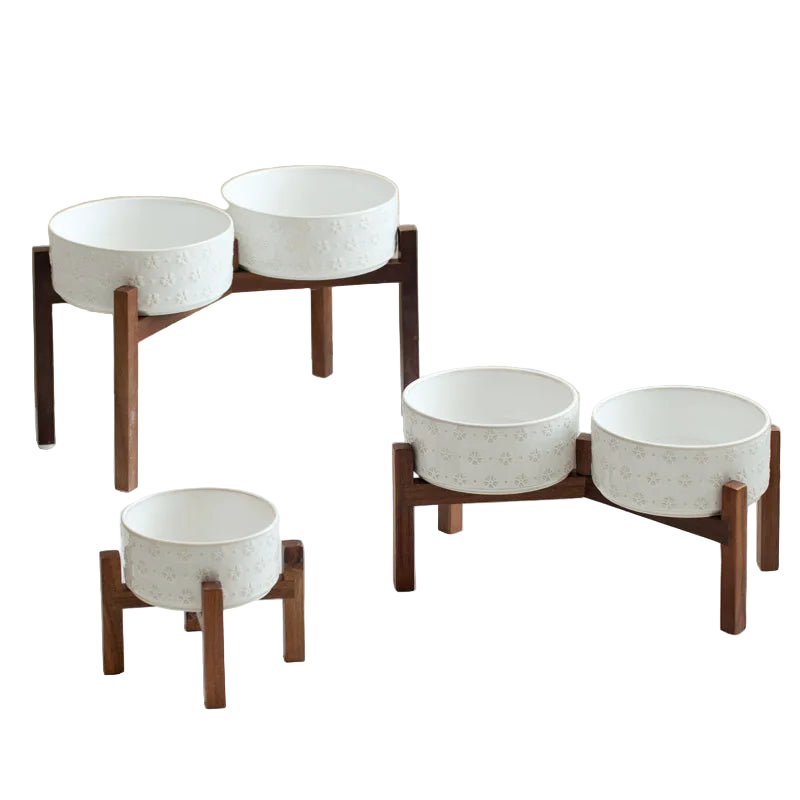 Elevated Dog Feeding Bowl Set