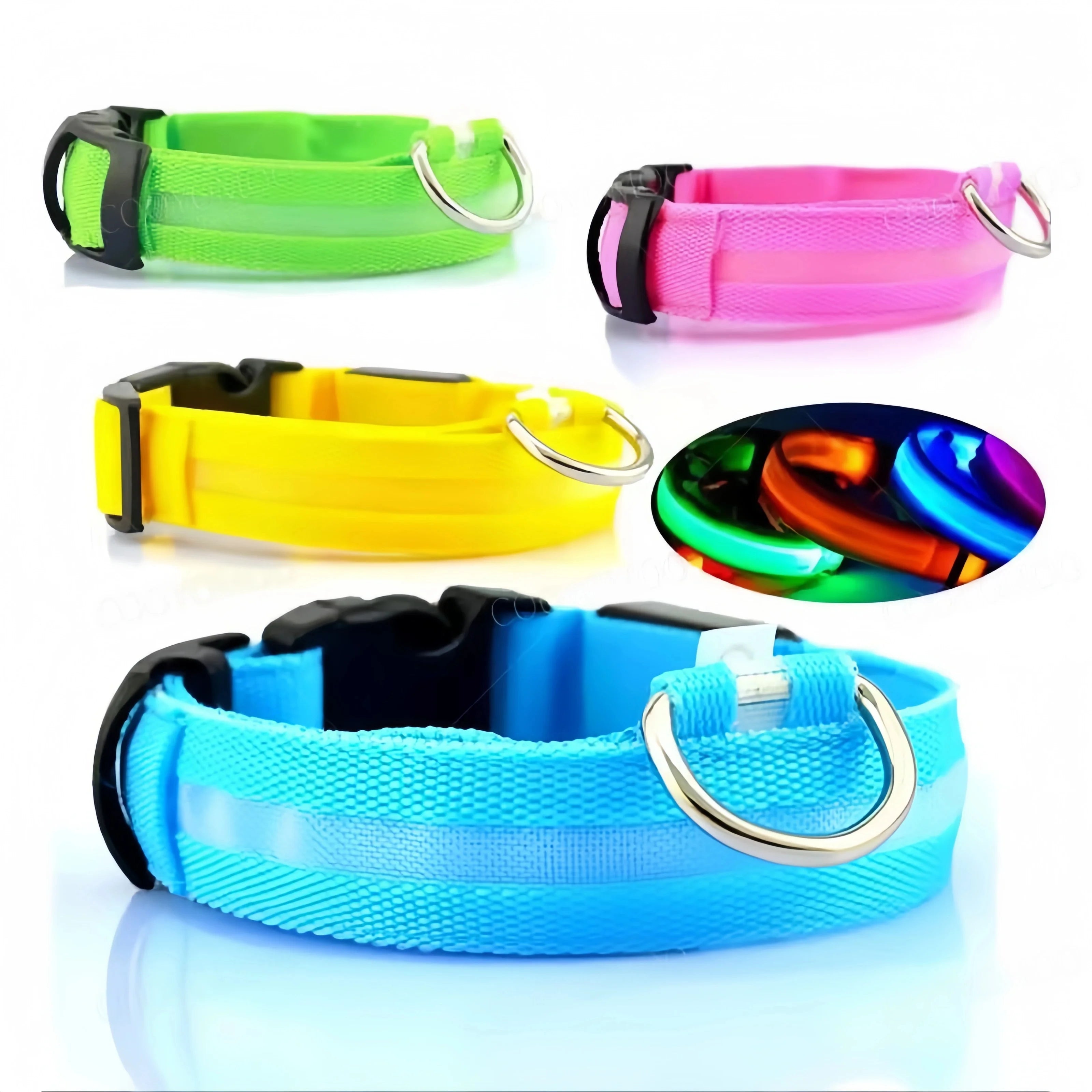 USB Rechargeable Light-Up Dog Collar
