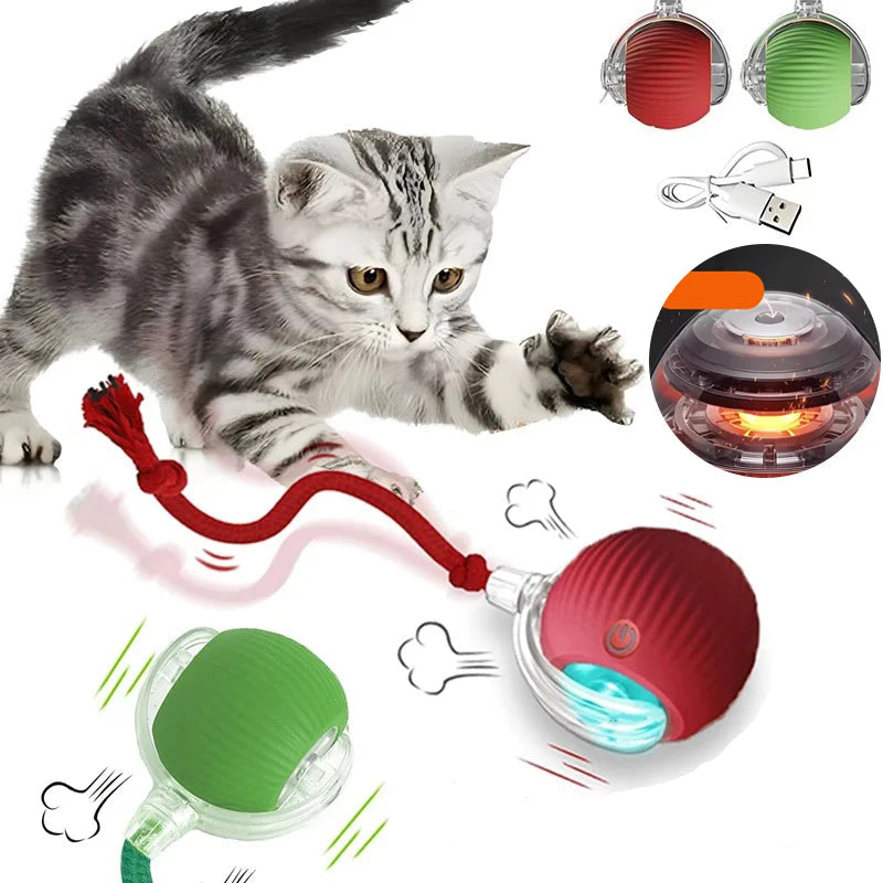 New Automatic Rolling Ball Toy for Cats