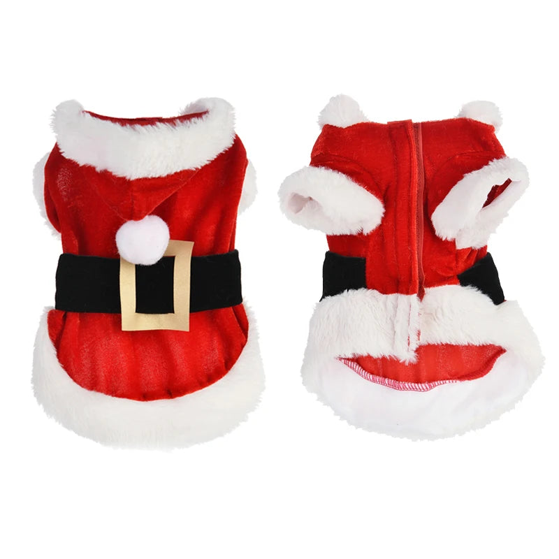 Santa Inspired Pet Costume