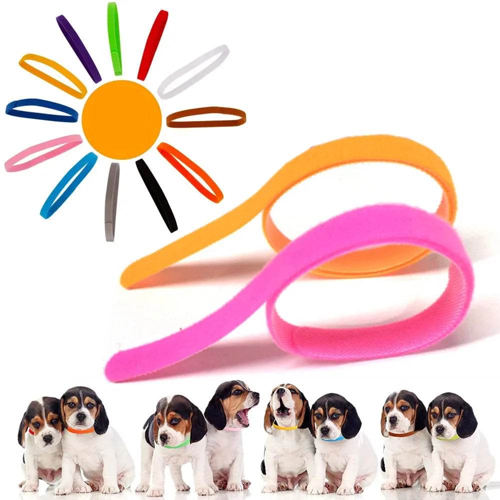 Colourful Newborn Velcro Collars for Pets