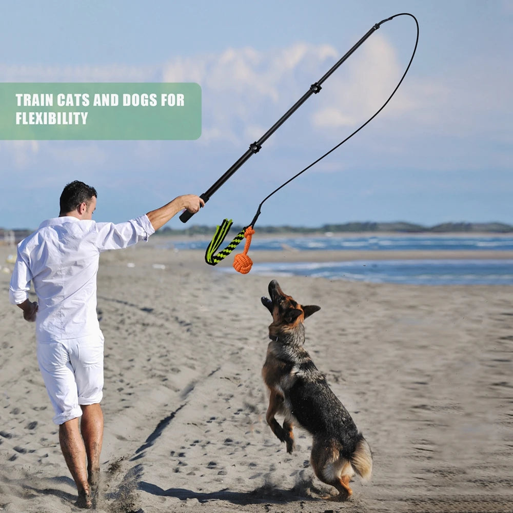 Retractable Pole Dog Chew Toy