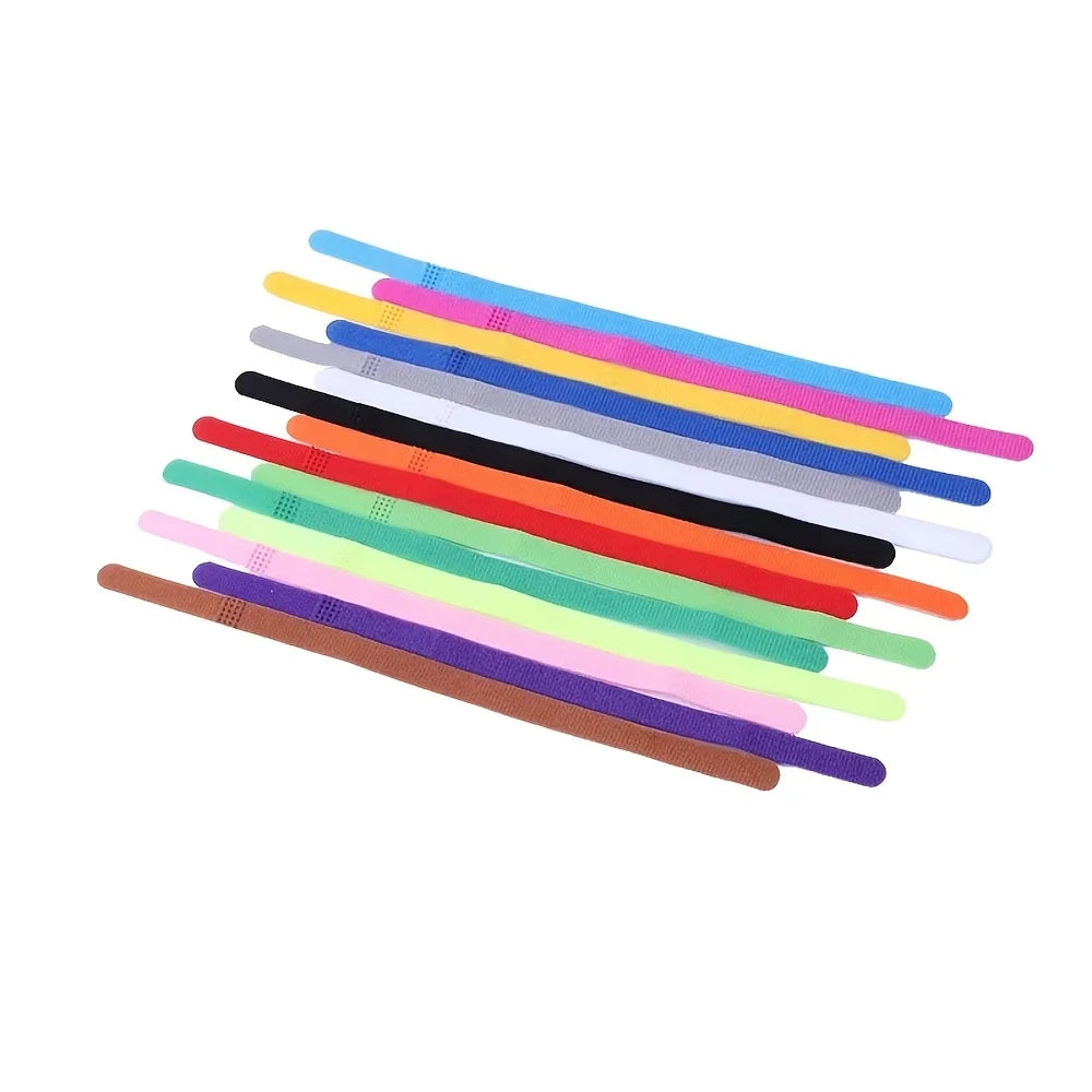 Pet Coloured Identification Collar