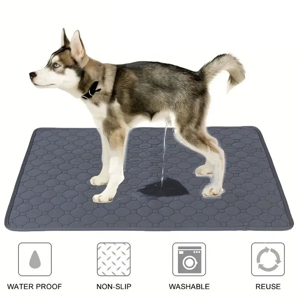 Absorbent Puppy Training Mat