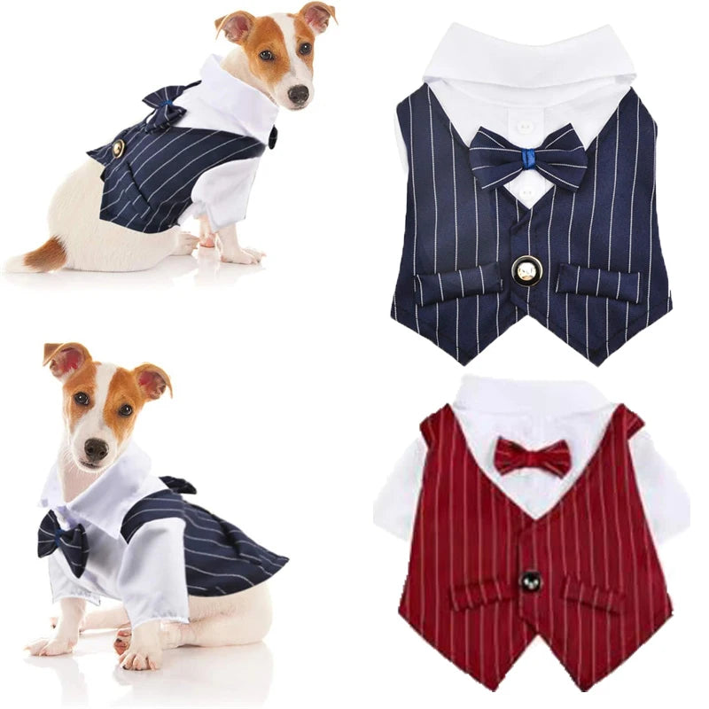 Custome Pet Party Tuxedo Attire