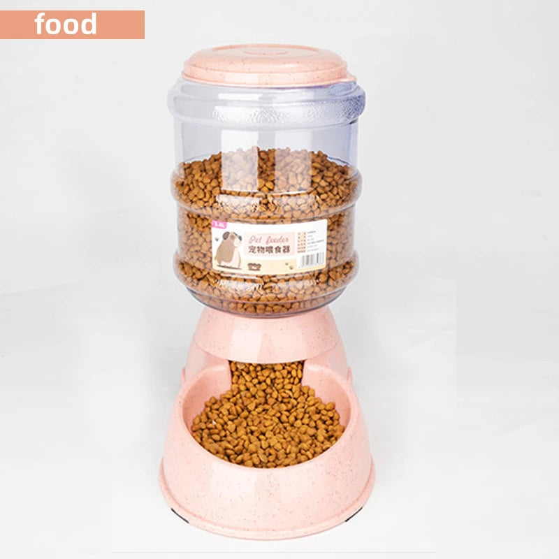 Pet Food and Water Bowl