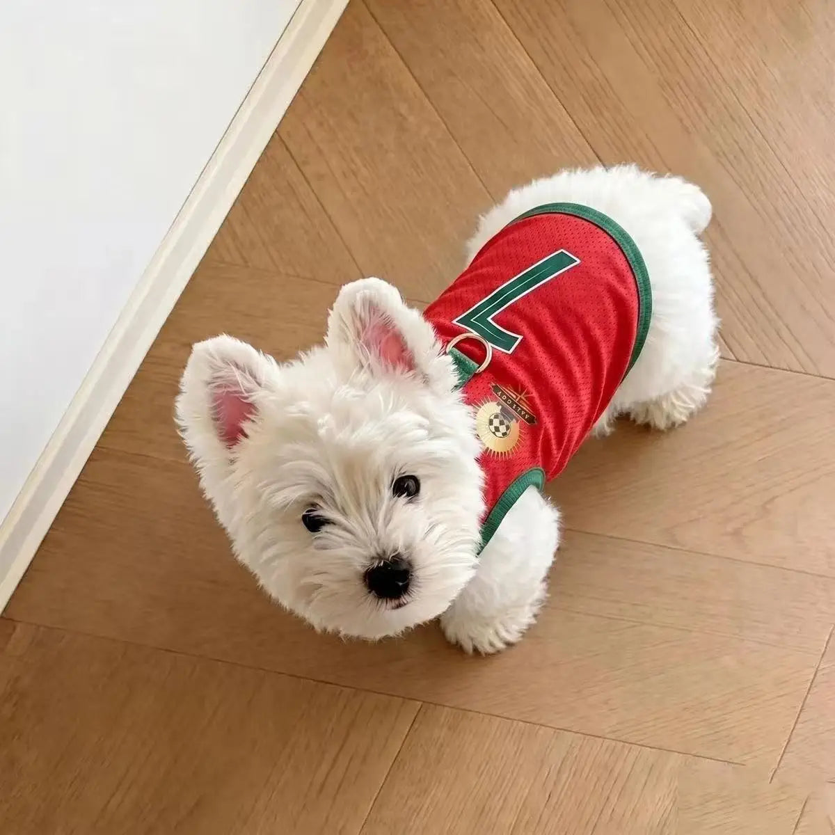 Breathable Mesh Dog Soccer Jersey