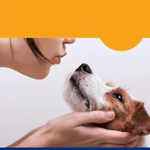 Pet Dental Care Kit