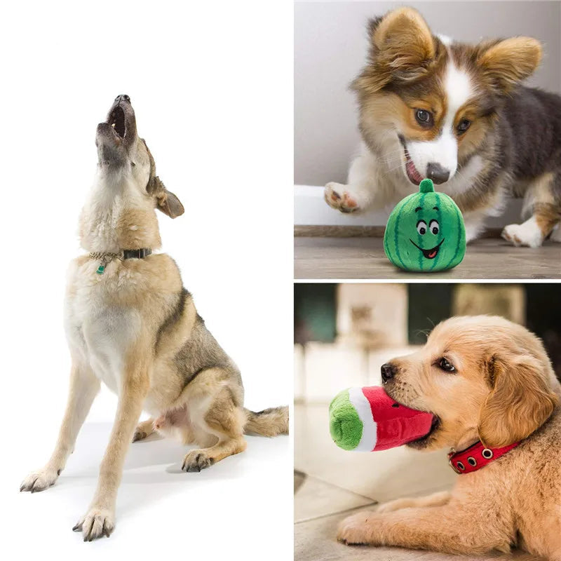 Non-Toxic Dog Squeaky Plush Toys