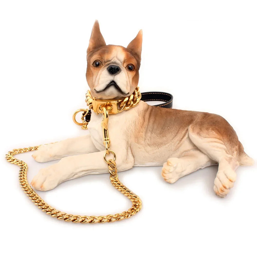 19mm Gold Chain Dog Collar and Snap Buckle