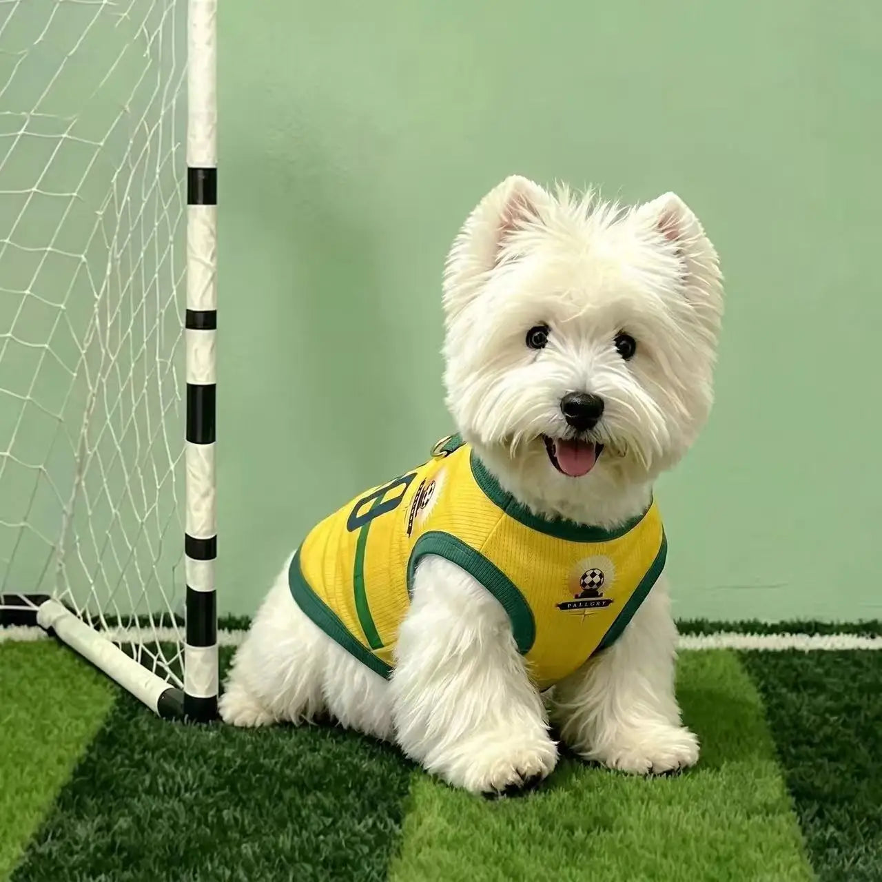 Breathable Mesh Dog Soccer Jersey