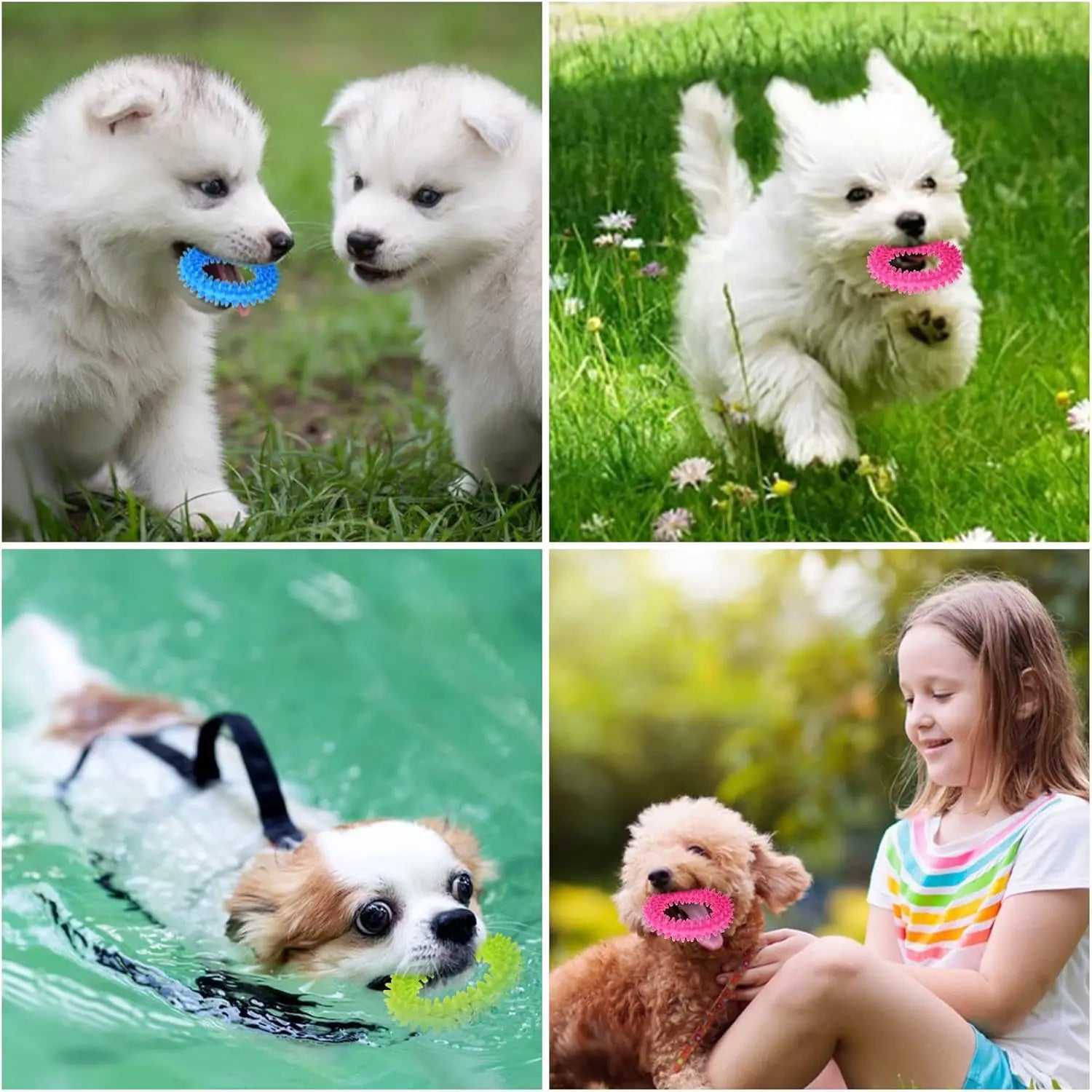 Pet Teething Rubber Chew Toy
