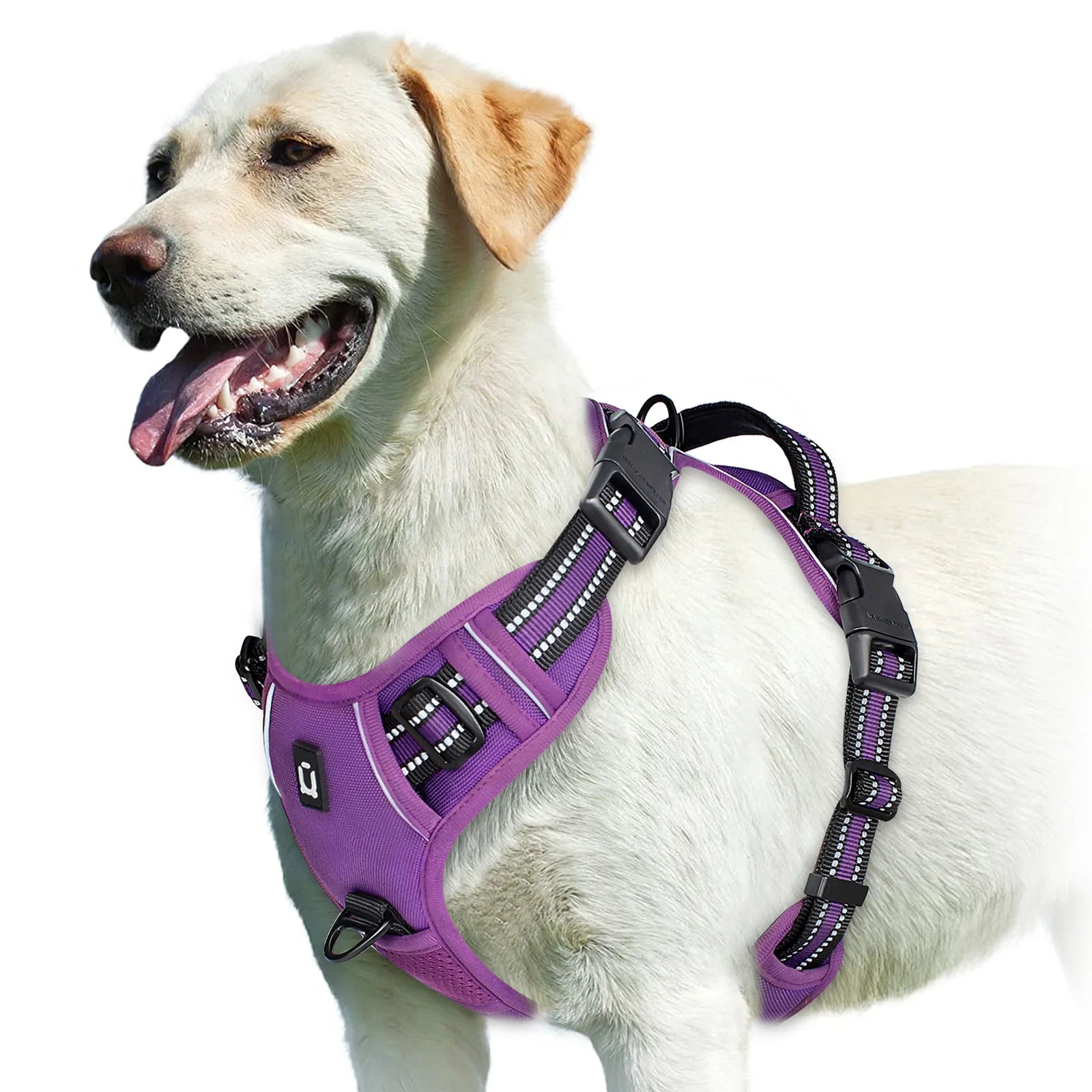 No Pull Soft Padded Dog Harness