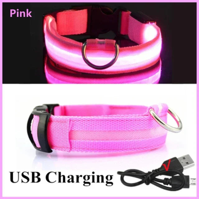 USB Rechargeable Light-Up Dog Collar