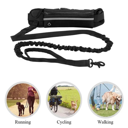 Hands-Free Walking Dog Leash With Storage available from RPBA Shop