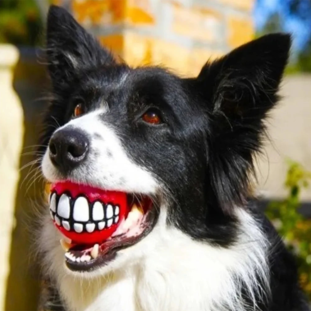 Rubber Squeaky Teeth Ball Chew Toys Pack