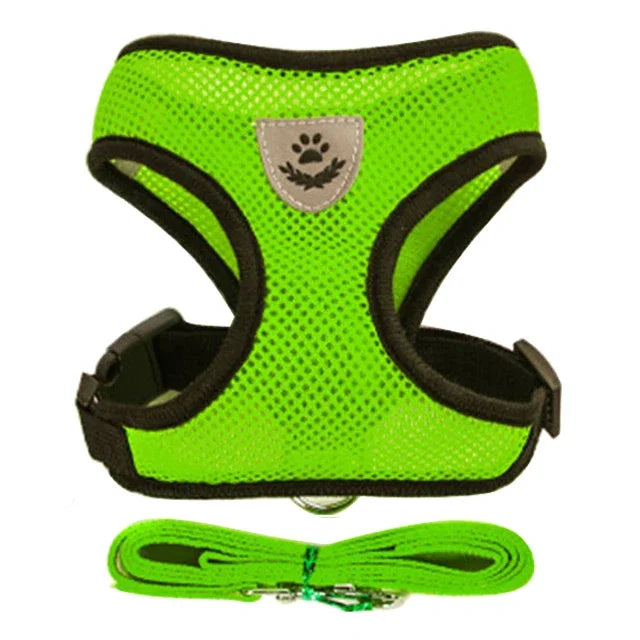Adjustable Collar With Leash For Pets
