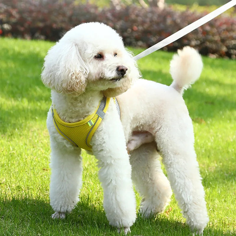 Pastel Dog Harness