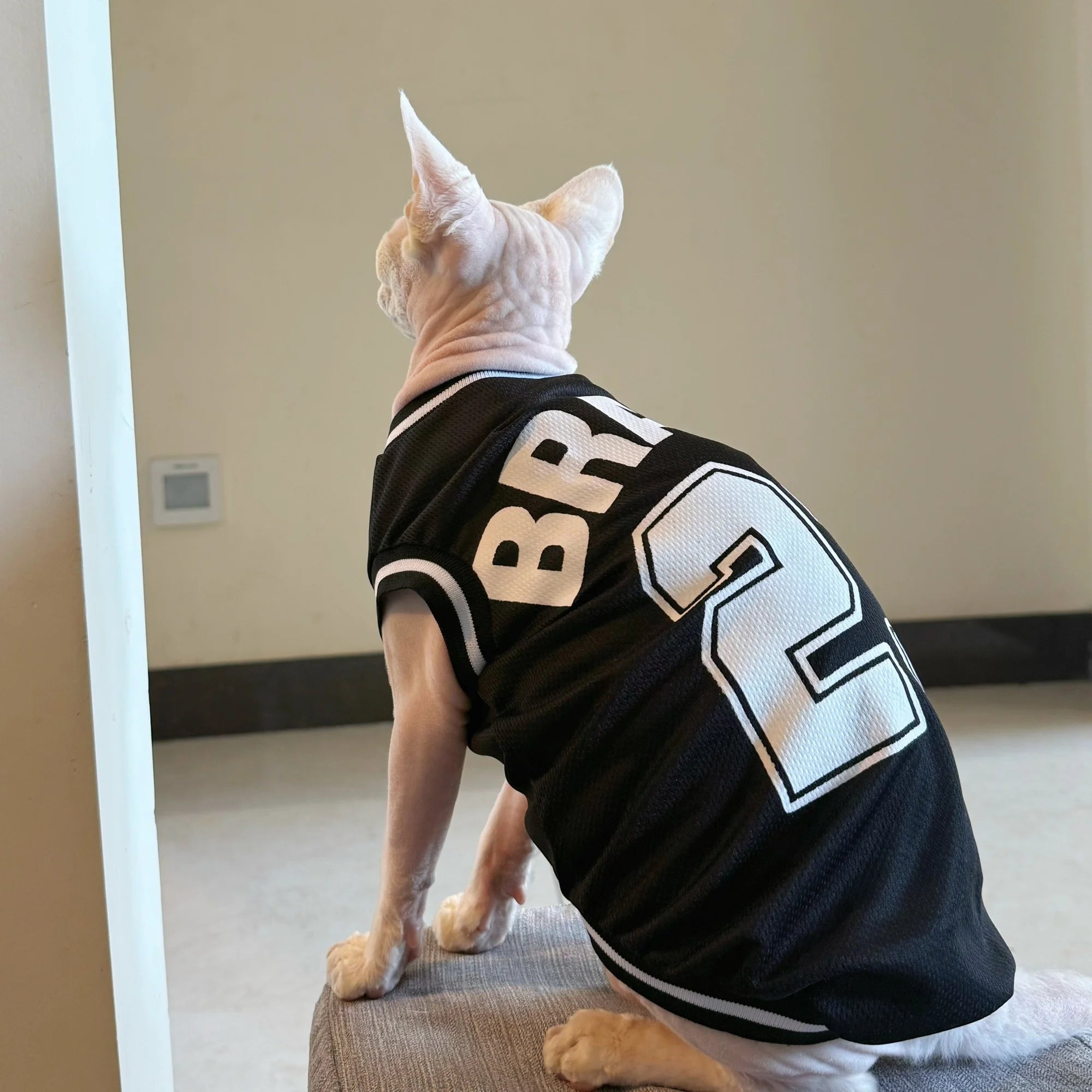Breathable Sphynx Cat Soccer Jersey