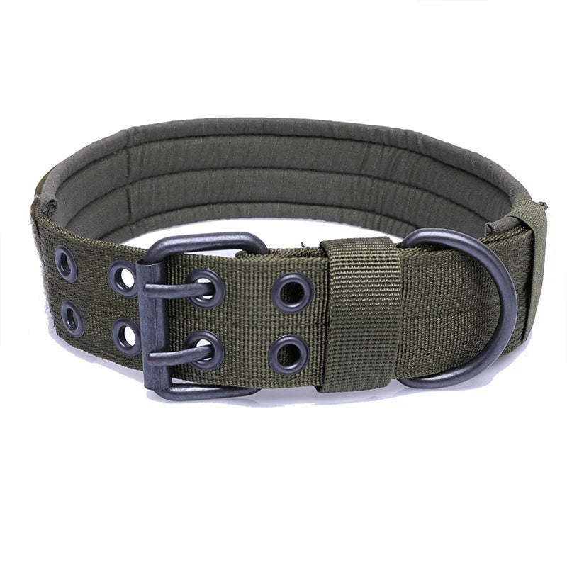 Classic Dog Collar for Tactical Training