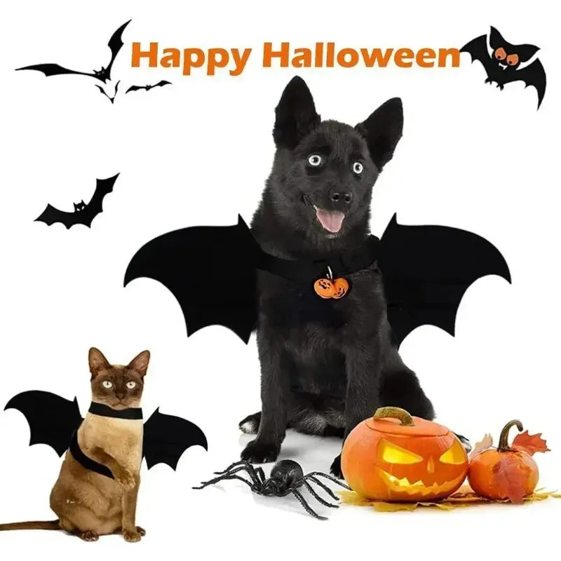 Bat Wings Pet Costume for Halloween