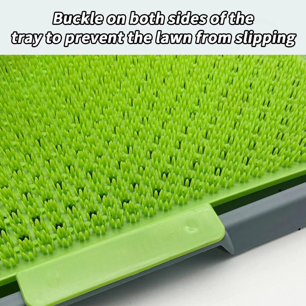 Dog Grass Pee Pad: The Ultimate Solution for Your Pet’s Hygiene