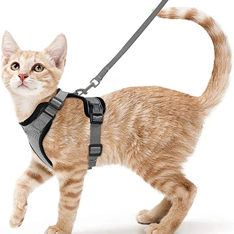 Adjustable Cat Harness and Leash Set