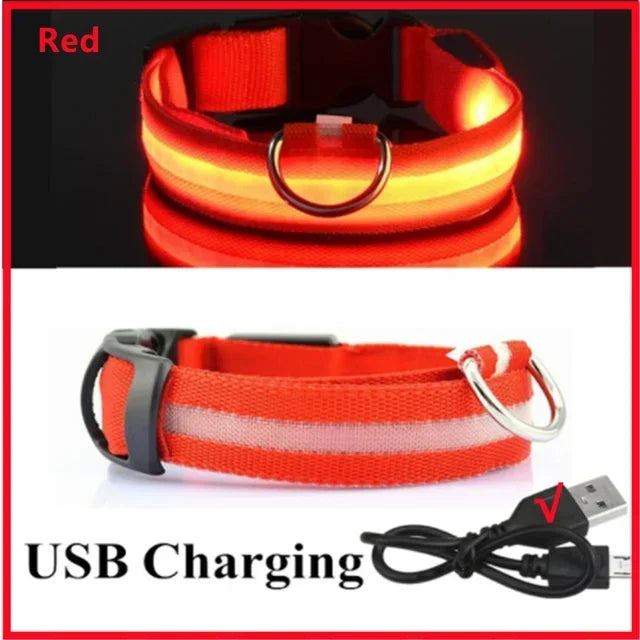 USB Rechargeable Light-Up Dog Collar