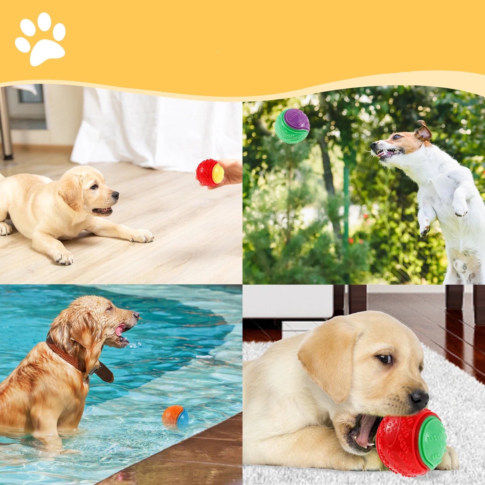 Interactive Bite Resistance Pet Ball Toys