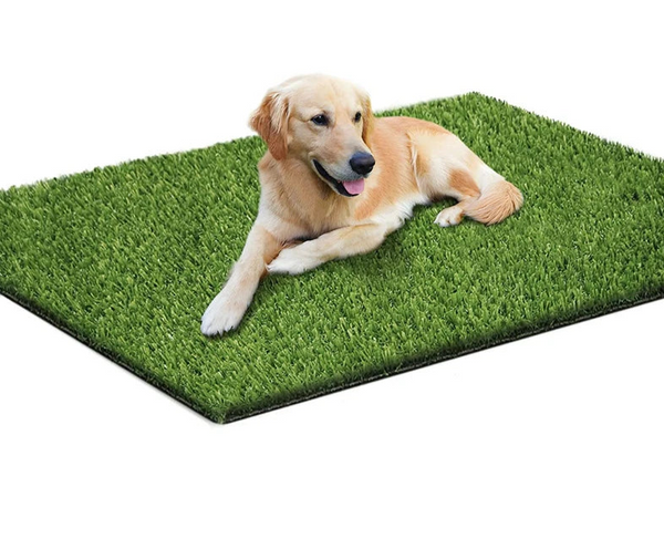 Artificial Turf for Pets - RPBA Shop Australia