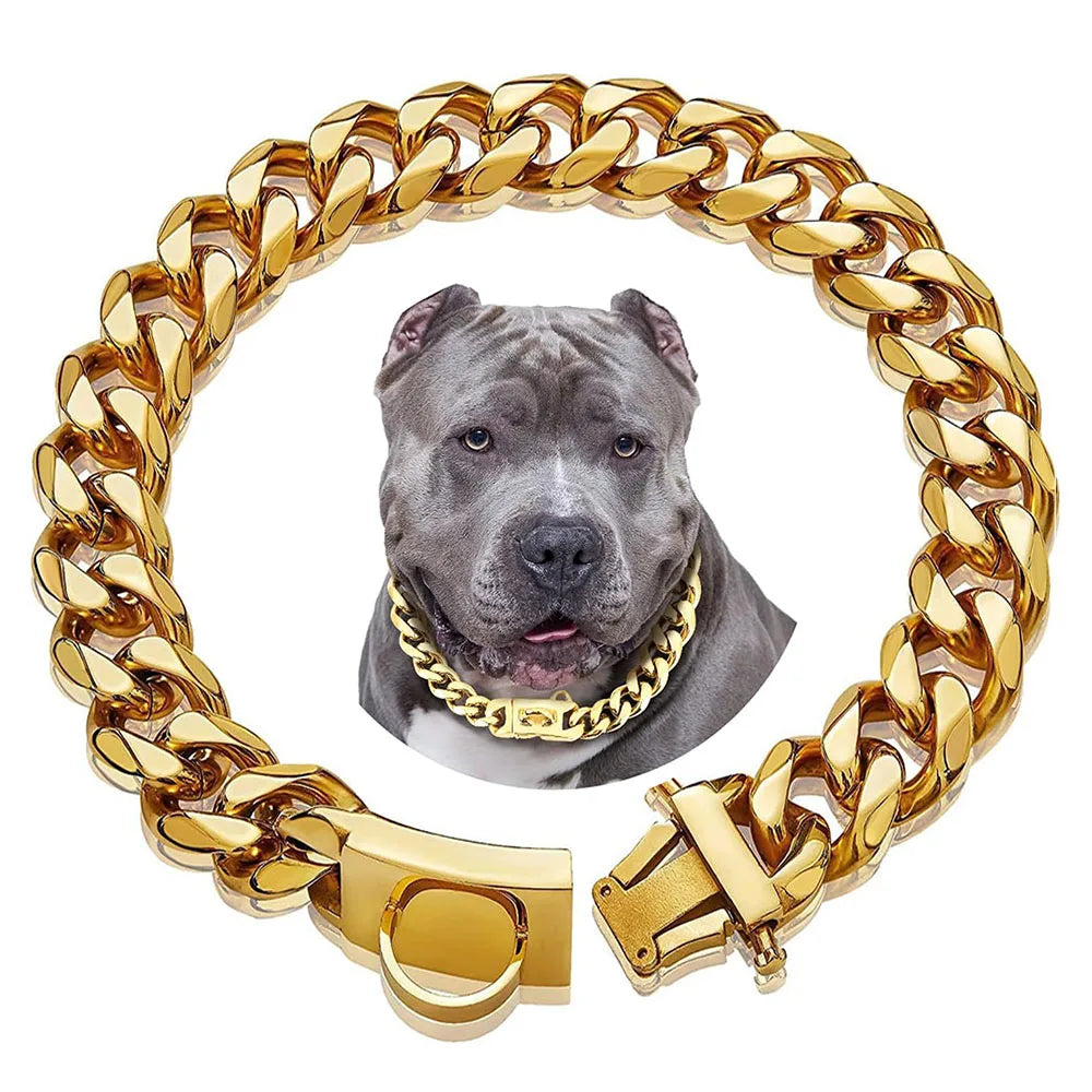19mm Gold Chain Dog Collar and Snap Buckle