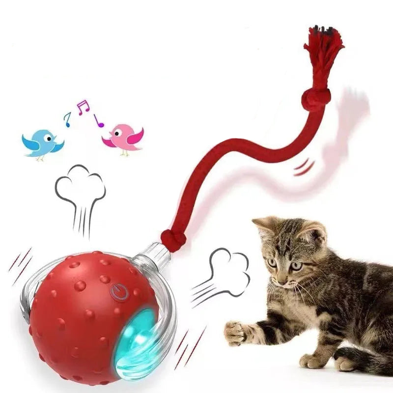 New Automatic Rolling Ball Toy for Cats