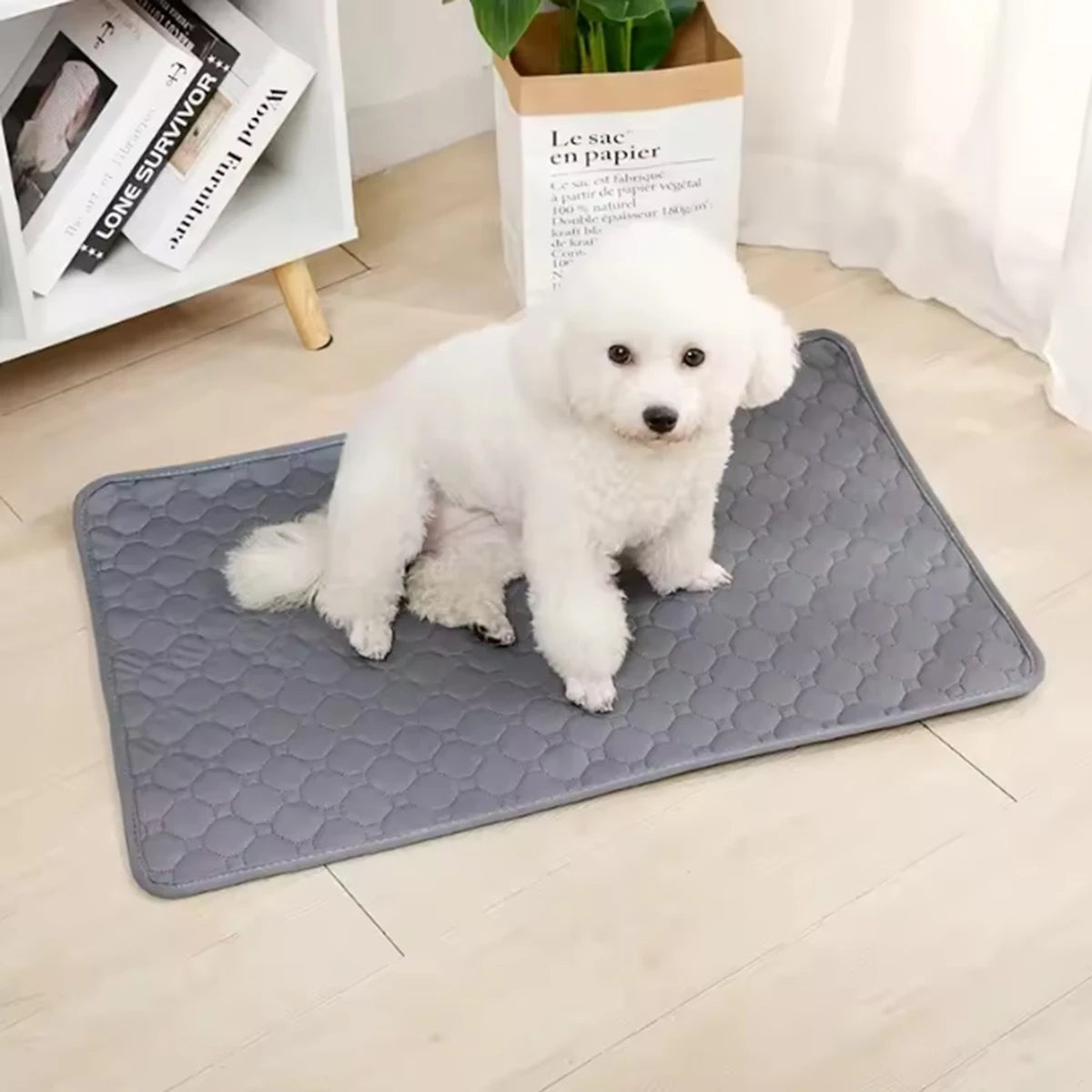 Absorbent Puppy Training Mat