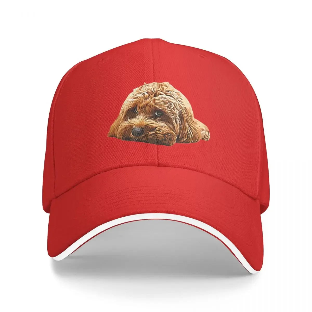 Cavoodle Designer Hat