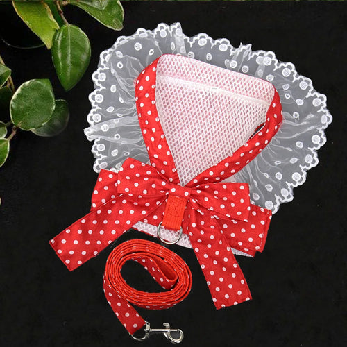 Stylish Lace Dog Harness - RPBA Shop