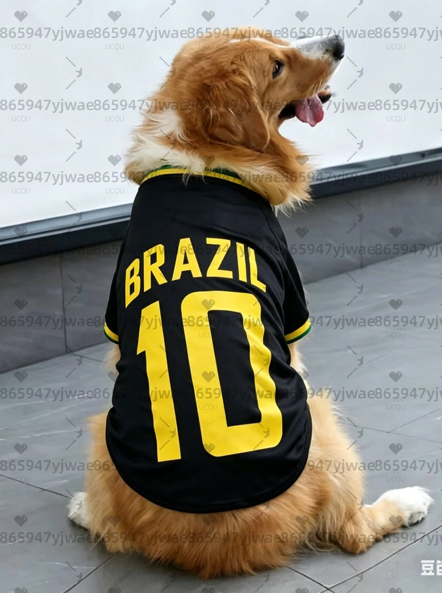 Brazil No.10 Dog Football Jersey