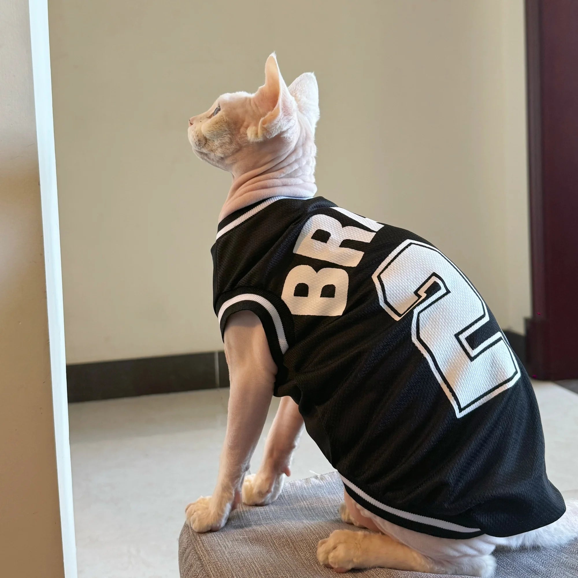 Breathable Sphynx Cat Soccer Jersey