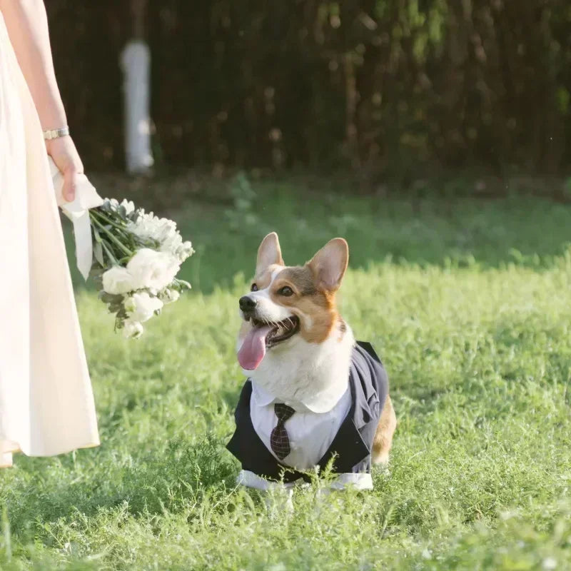 Formal Wear Tuxedo Suit for Dogs