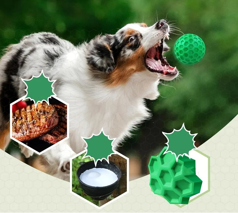 Natural Rubber Dog Chew Ball with Squeaker