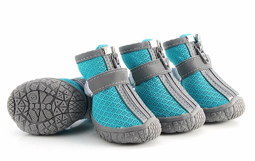 Waterproof Puppy Rainshoe, part of the RPBA Shop range for puppies